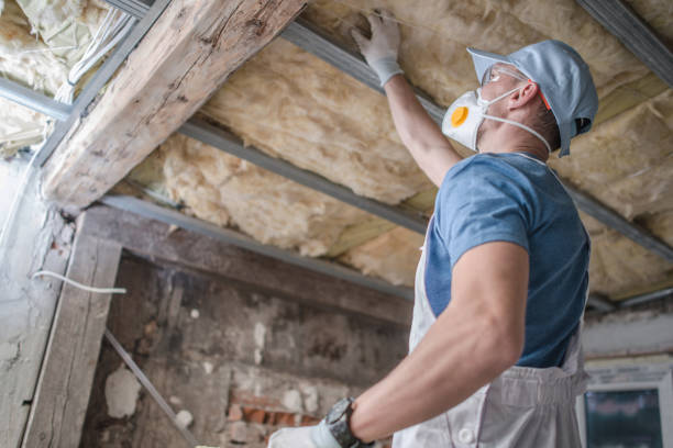 Best Insulation Maintenance and Repair in USA